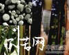 微信小程序开发公司